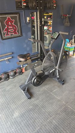 Rogue Echo Bike