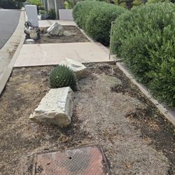 Irrigation Valves