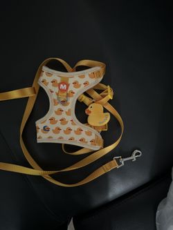 Dog Clothes And Accessories