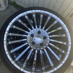 Panther Spline Rims 