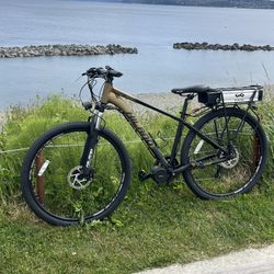 Ebike 29” Tire - 1000 W Bafang Mid Drive 