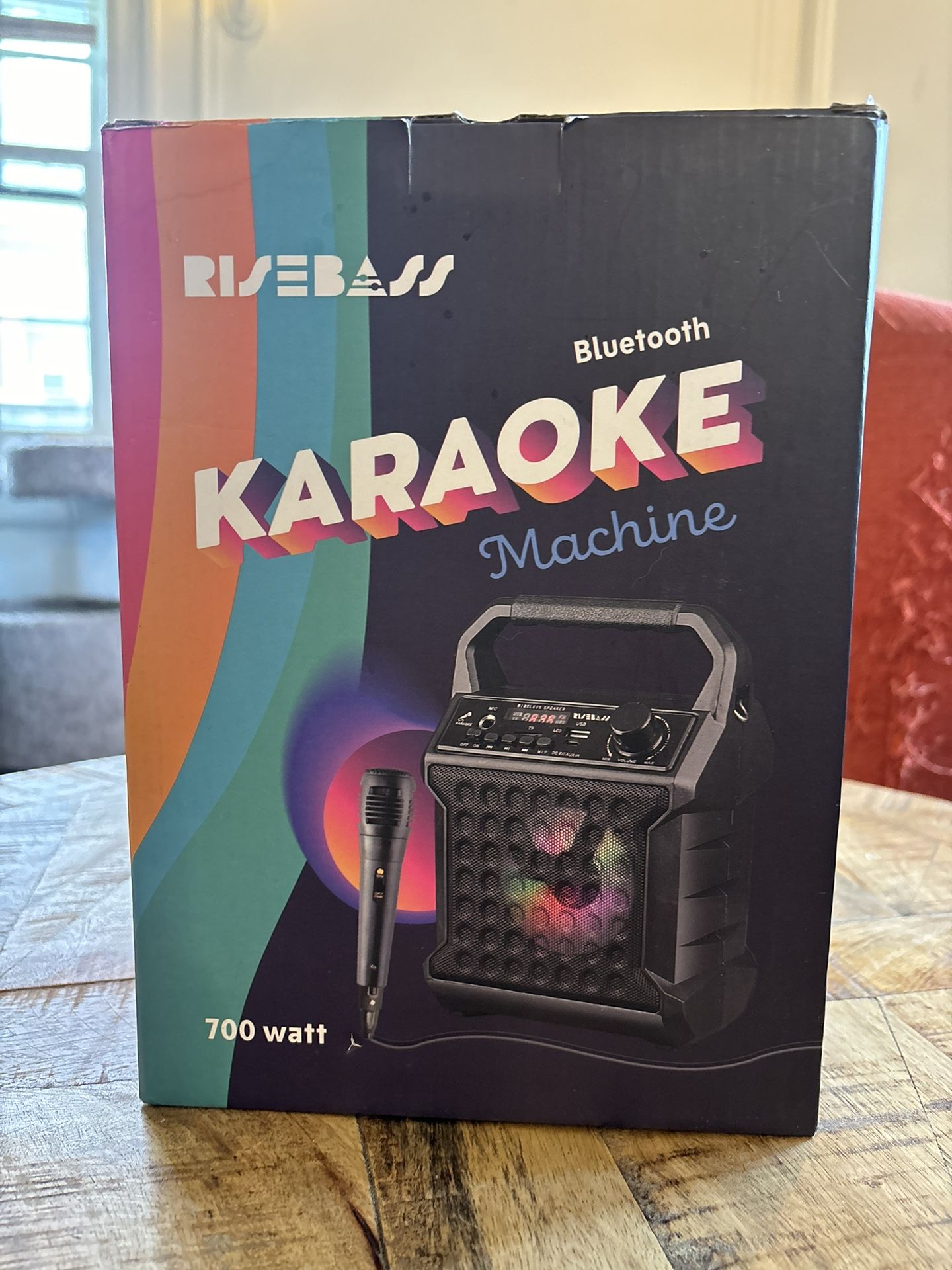 Portable BT Karaoke Machine