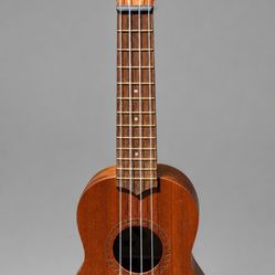 Kala Starter Ukulele - $35