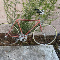 Schwinn Le Tourist