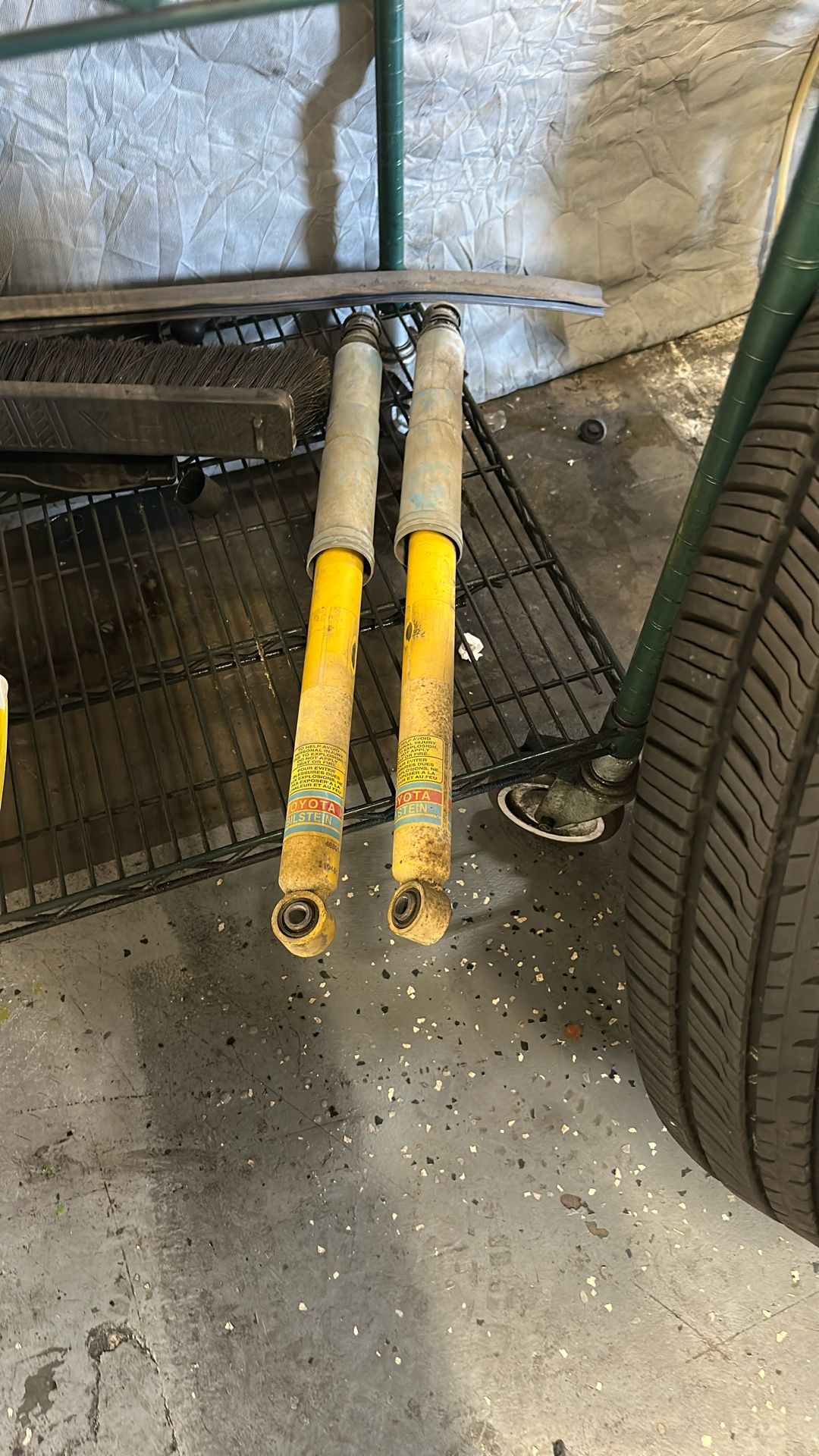 Rear Shocks
