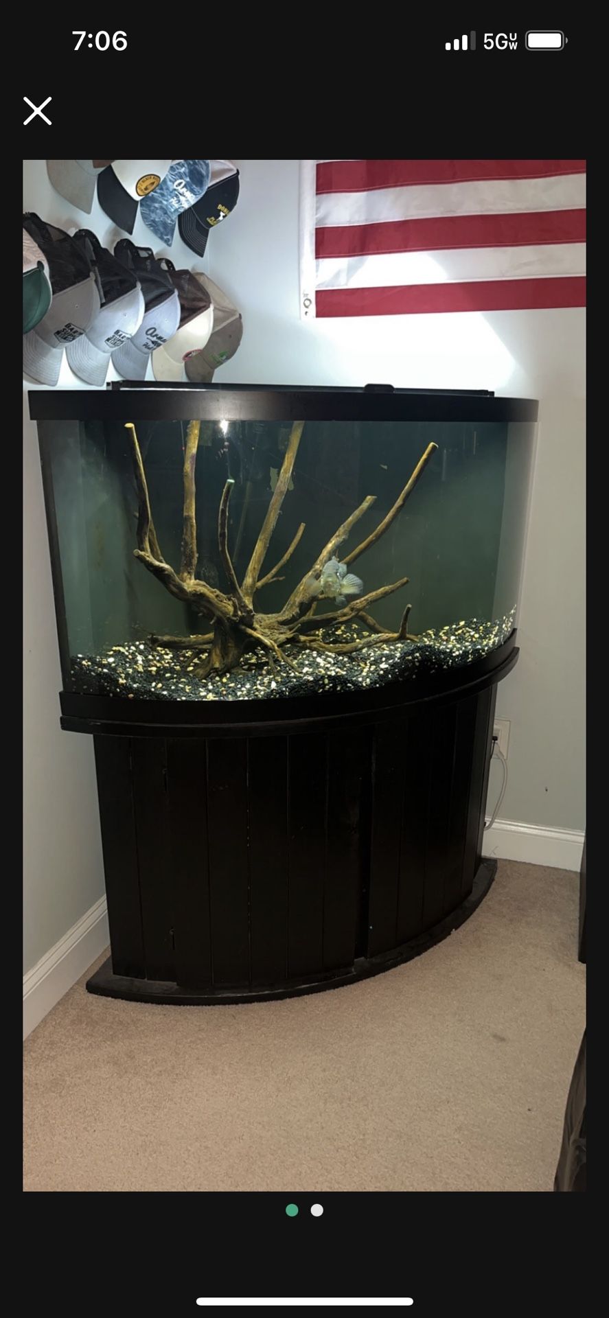 92 Gallon Bowfront Aquarium 