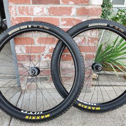 WTB 29” Wheelset w/ Maxxis Tires-LIKE‑NEW