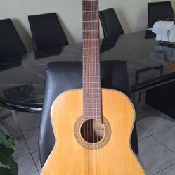 Carlos Robelli Acoustic Guitar 6 String C-6 3/4
