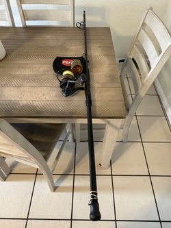 10’ PENN & Tsunami Combo