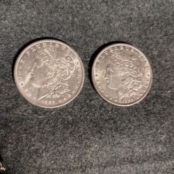 Morgan Silver Dollars - 1889 P Uncirculated 