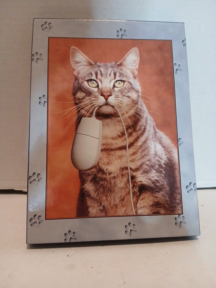 Cat Stationary