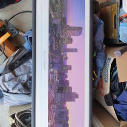 Denver Skyline Picture