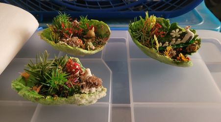 Knick Knacks Nature Stuff