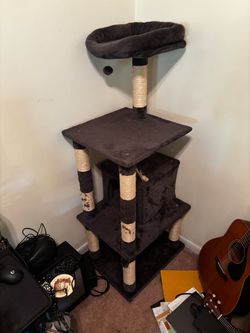 Set of cat towers