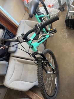 NWS pueblo 17” bike obo
