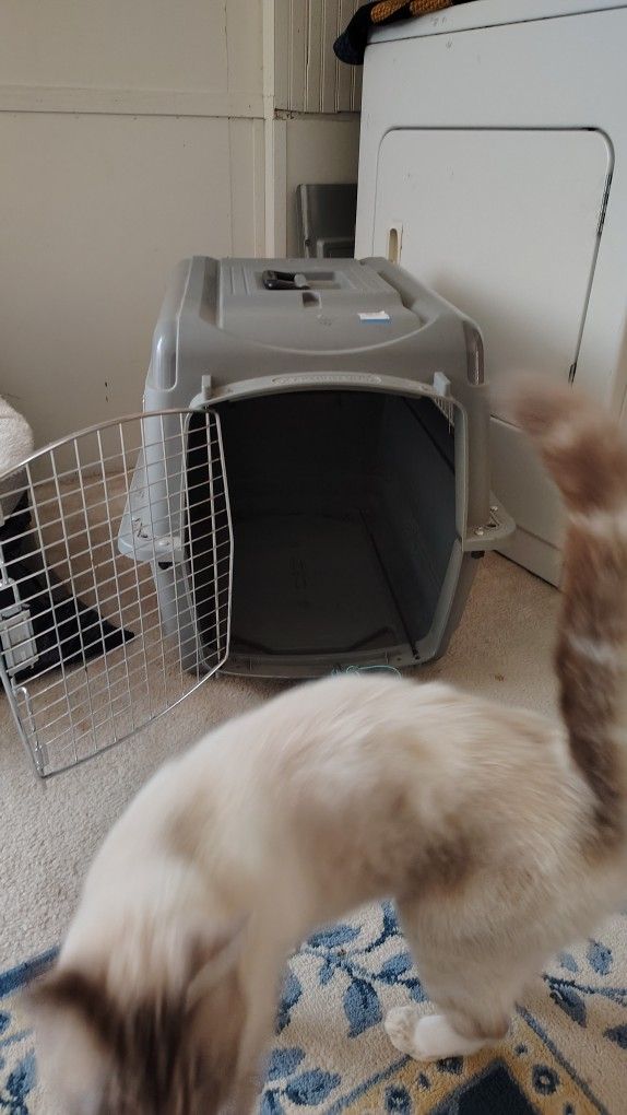 Pet Kennel 