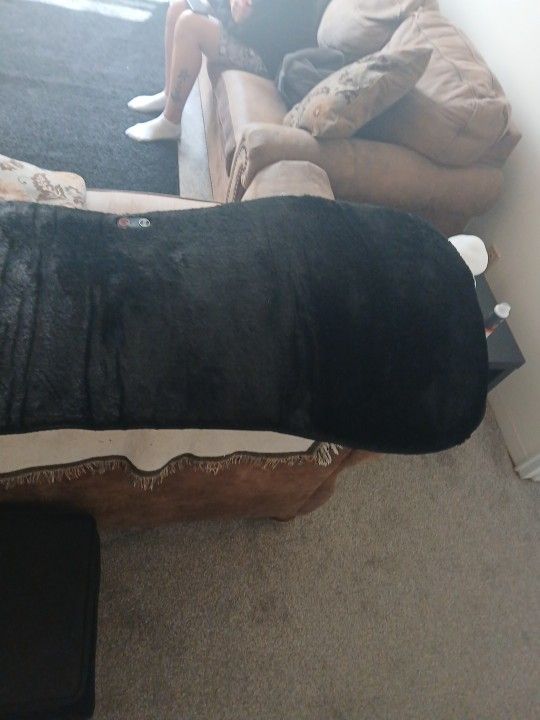 Back Massager