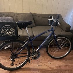 Active Universe 26” 10 Speed Mountain Bike