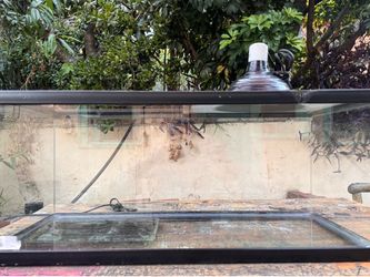20 gal. Terrarium/ fish tank