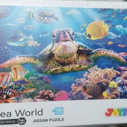 Unopened 1k PC Puzzle 