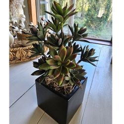 Black Rose Succulent In Black Ceramic Pot Faux Plant