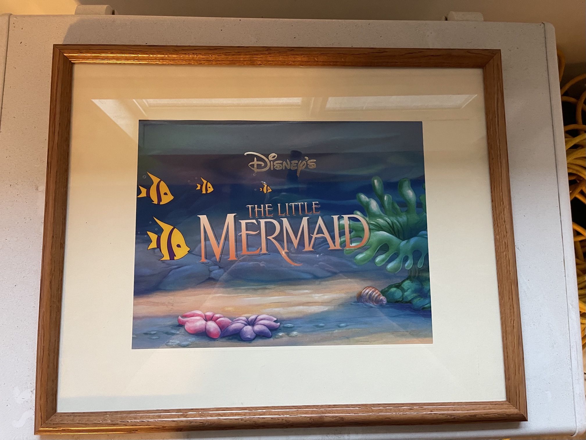 Little Mermaid Set Of 5 Framed Lithographs