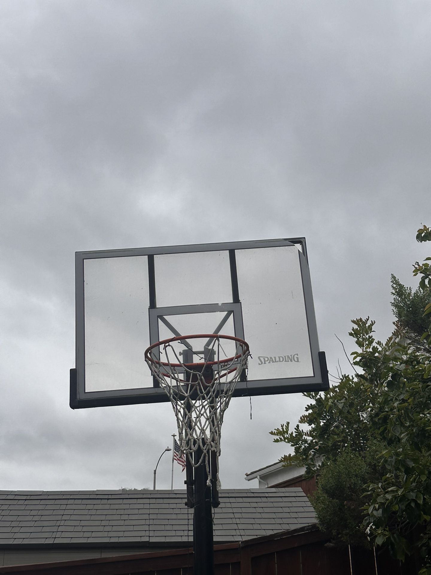 Full Sized Basketball Hoop