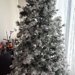 Christmas Tree 🌲 