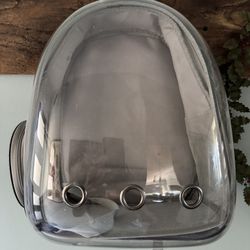 Cat Back Pack