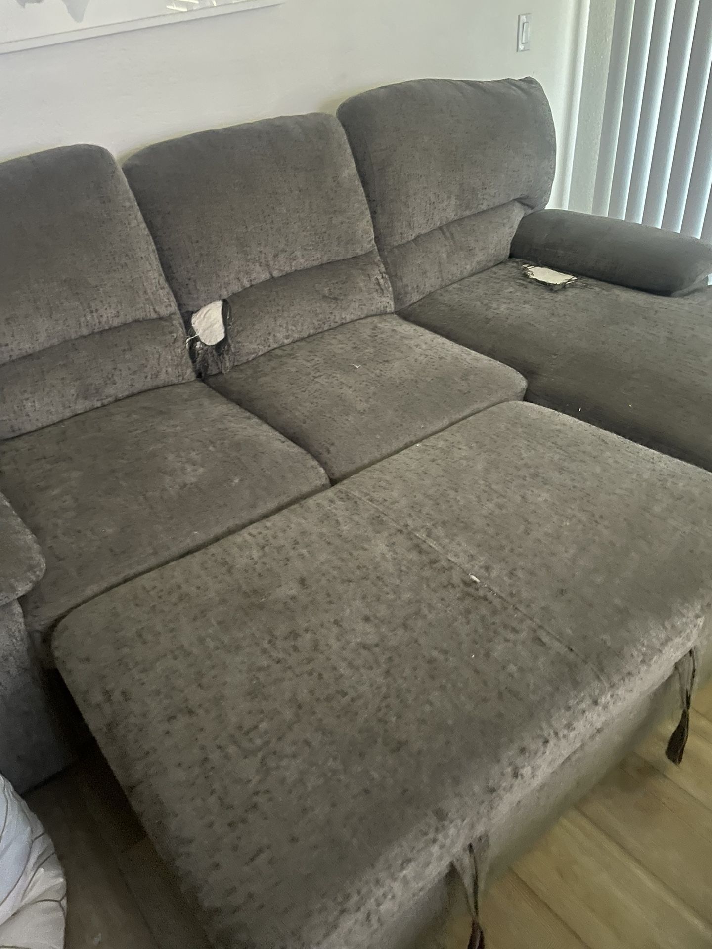 Sofa Not A Year Old