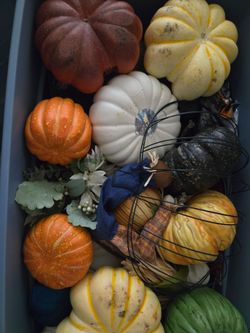 Fall decor