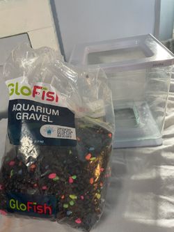 Beta Fish Tank And Gravel 