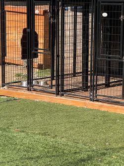 Dog kennels two 4x8