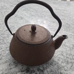 Cast Iron Teapot 