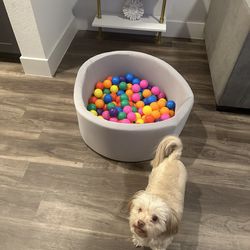 Ball Pit With Plastic Balls