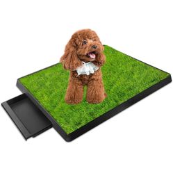 iMounTek Dog Astroturf Indoor/outdoor Litter Box