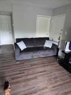 Couch, purchase thirty days ago
