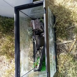 Fish Tank And Accessories 