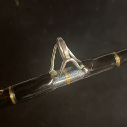 Penn POWER STICK PLUS! Saltwater Fishing Rod PC-6711 ML 7