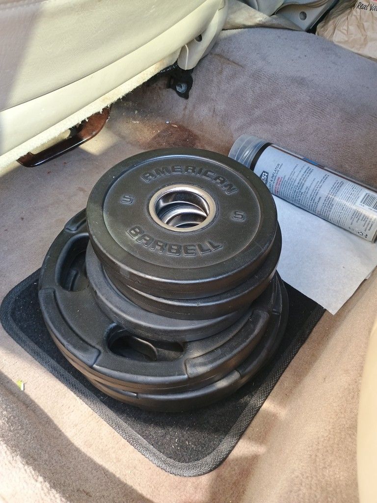 Weight Plates 115 Pounds