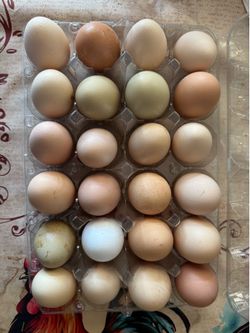 Farm fresh eggs