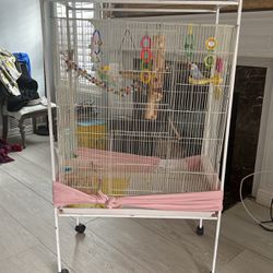 Bird Cage Hablo español