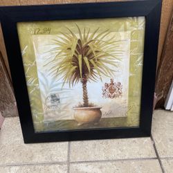 Palm Tree Frame 
