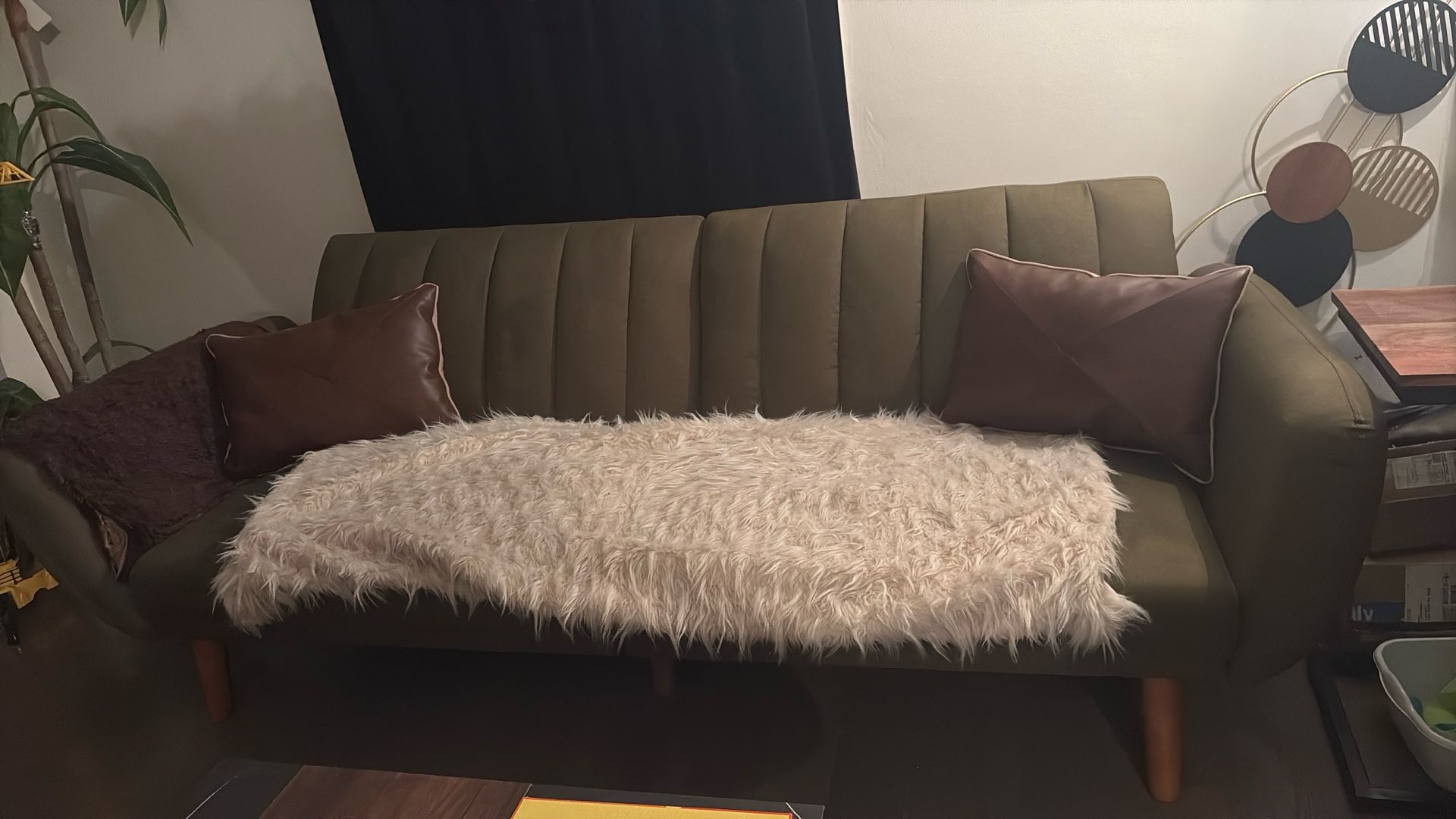 Wayfair Green Sofa