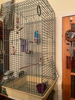 Big bird cage