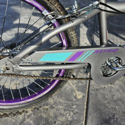 Schwinn Astrid 20" Kids' Bike - Gray:Used Like New