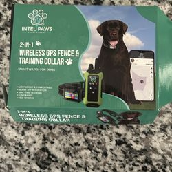 shock collar for dogs 