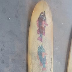 Fish Stix Surfboard 9ft