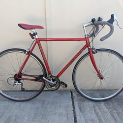 LeMond Tourmalet 700c 21-Speed Commuter/Road Bike - Shimano RSX Dual Pivot Brakes/STI Control Shifters - 56cm Frame - Specialized Seat (MSRP $1089)
