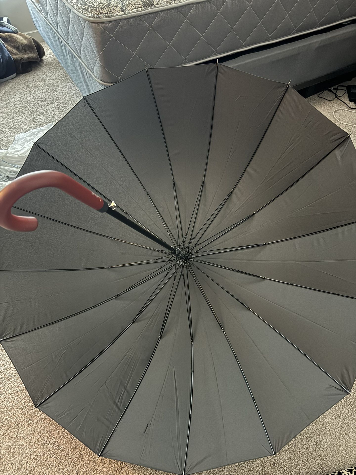 Umbrella
